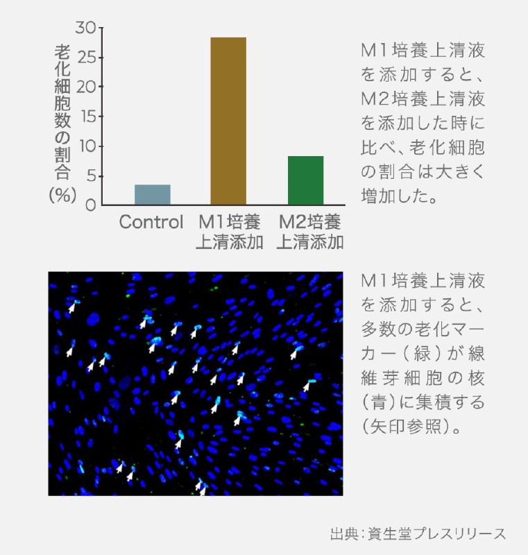 選ぶべきエクソソームとは