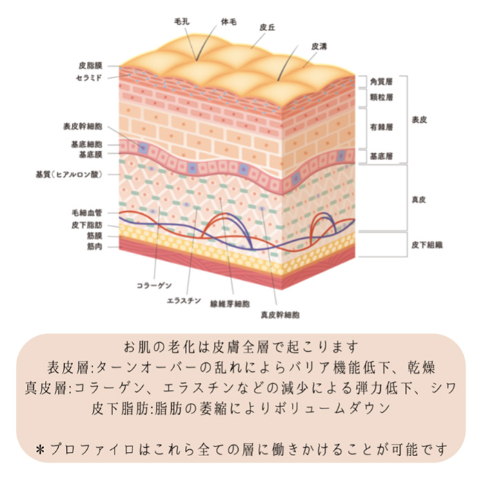 得られる効果