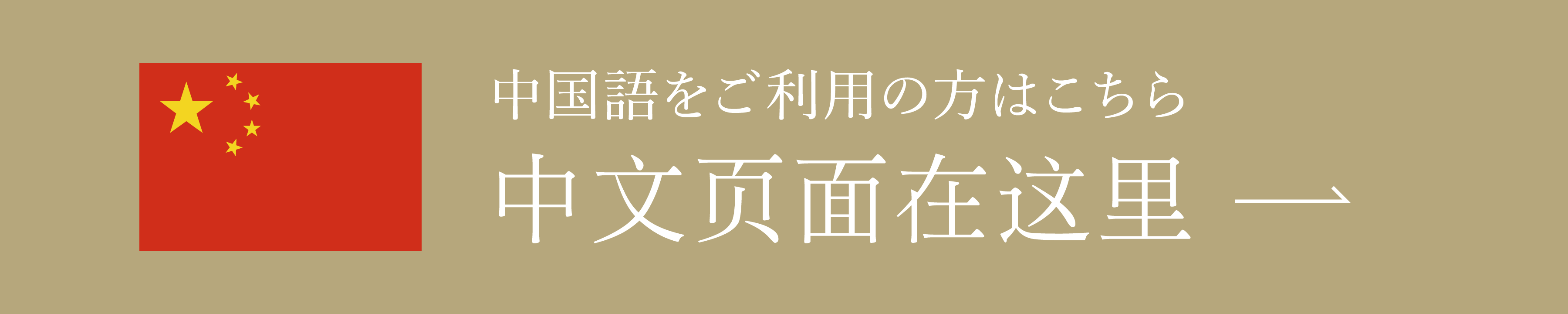 中国語ページ