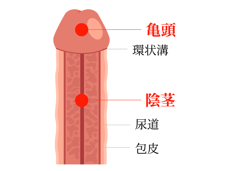 各治療について