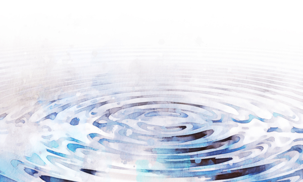 機能と美しさの両立