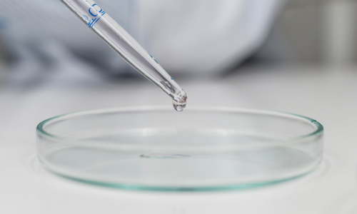 組織の温存と再生