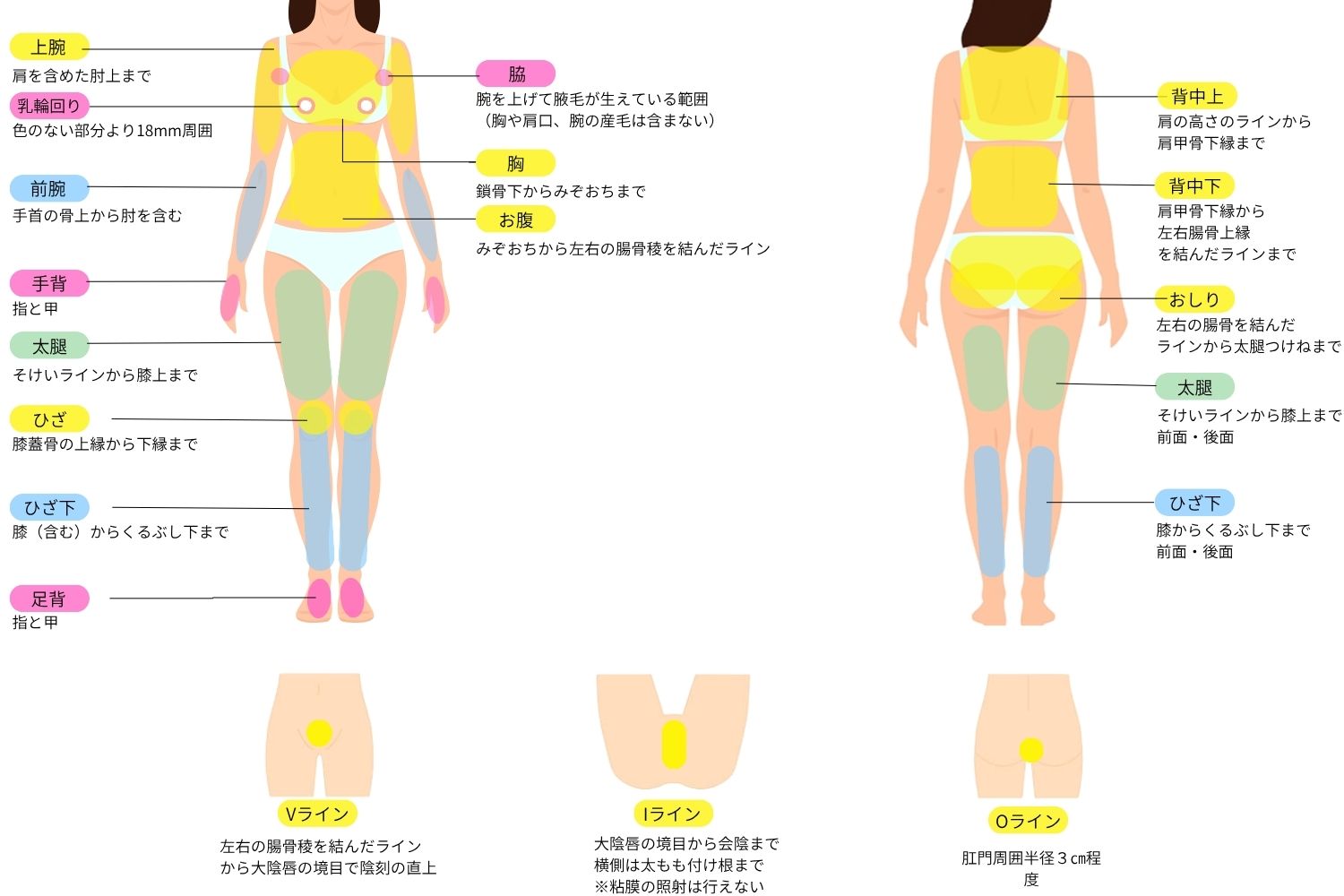 医療脱毛の対象部位を表す図 全身 VIO